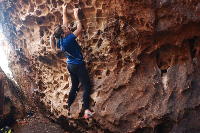 Bouldering in Hueco Tanks on 11/23/2018 with Blue Lizard Climbing and Yoga

Filename: SRM_20181123_1118160.jpg
Aperture: f/3.2
Shutter Speed: 1/160
Body: Canon EOS-1D Mark II
Lens: Canon EF 50mm f/1.8 II