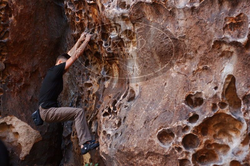 Bouldering in Hueco Tanks on 11/23/2018 with Blue Lizard Climbing and Yoga

Filename: SRM_20181123_1118310.jpg
Aperture: f/3.2
Shutter Speed: 1/125
Body: Canon EOS-1D Mark II
Lens: Canon EF 50mm f/1.8 II