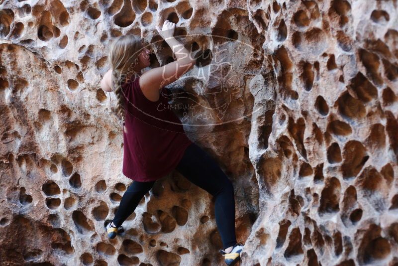 Bouldering in Hueco Tanks on 11/23/2018 with Blue Lizard Climbing and Yoga

Filename: SRM_20181123_1131400.jpg
Aperture: f/2.8
Shutter Speed: 1/160
Body: Canon EOS-1D Mark II
Lens: Canon EF 50mm f/1.8 II