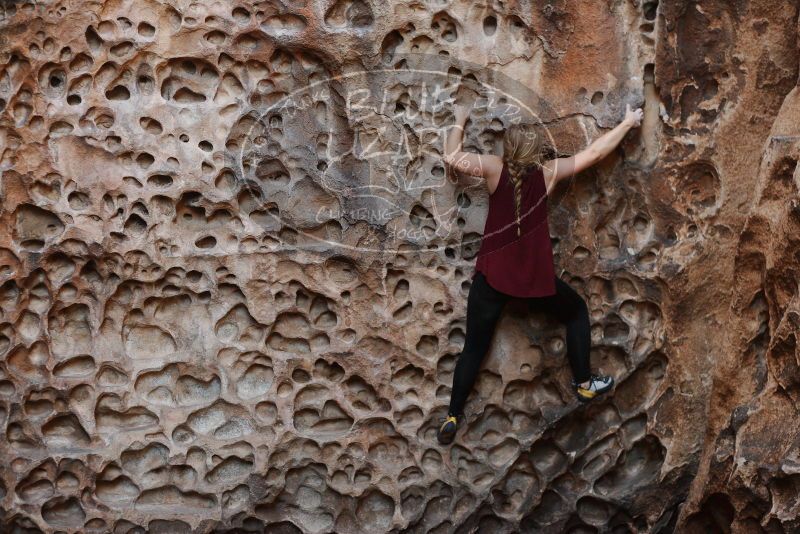 Bouldering in Hueco Tanks on 11/23/2018 with Blue Lizard Climbing and Yoga

Filename: SRM_20181123_1133010.jpg
Aperture: f/2.8
Shutter Speed: 1/320
Body: Canon EOS-1D Mark II
Lens: Canon EF 50mm f/1.8 II