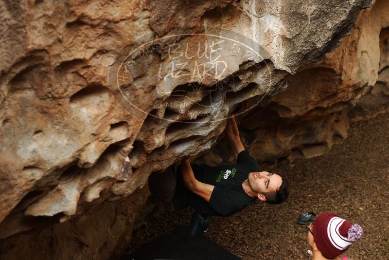 Bouldering in Hueco Tanks on 11/23/2018 with Blue Lizard Climbing and Yoga

Filename: SRM_20181123_1554421.jpg
Aperture: f/3.5
Shutter Speed: 1/250
Body: Canon EOS-1D Mark II
Lens: Canon EF 50mm f/1.8 II