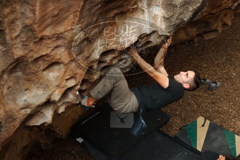 Bouldering in Hueco Tanks on 11/23/2018 with Blue Lizard Climbing and Yoga

Filename: SRM_20181123_1603300.jpg
Aperture: f/3.5
Shutter Speed: 1/250
Body: Canon EOS-1D Mark II
Lens: Canon EF 50mm f/1.8 II