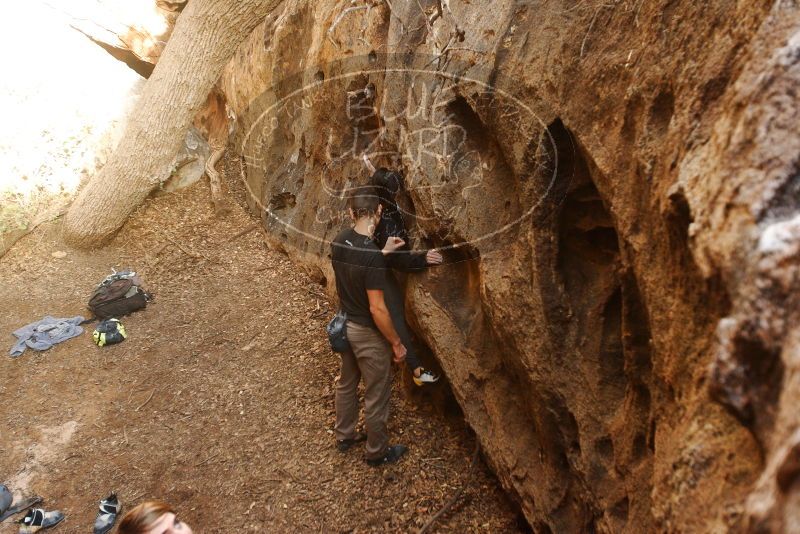 Bouldering in Hueco Tanks on 11/23/2018 with Blue Lizard Climbing and Yoga

Filename: SRM_20181123_1615400.jpg
Aperture: f/3.5
Shutter Speed: 1/125
Body: Canon EOS-1D Mark II
Lens: Canon EF 16-35mm f/2.8 L