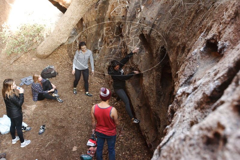 Bouldering in Hueco Tanks on 11/23/2018 with Blue Lizard Climbing and Yoga

Filename: SRM_20181123_1622390.jpg
Aperture: f/4.0
Shutter Speed: 1/125
Body: Canon EOS-1D Mark II
Lens: Canon EF 16-35mm f/2.8 L