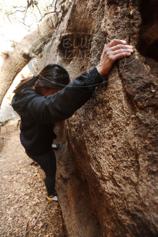 Bouldering in Hueco Tanks on 11/23/2018 with Blue Lizard Climbing and Yoga

Filename: SRM_20181123_1624260.jpg
Aperture: f/2.8
Shutter Speed: 1/125
Body: Canon EOS-1D Mark II
Lens: Canon EF 16-35mm f/2.8 L