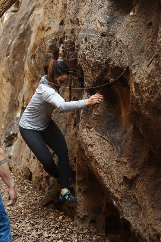 Bouldering in Hueco Tanks on 11/23/2018 with Blue Lizard Climbing and Yoga

Filename: SRM_20181123_1626080.jpg
Aperture: f/4.0
Shutter Speed: 1/100
Body: Canon EOS-1D Mark II
Lens: Canon EF 50mm f/1.8 II