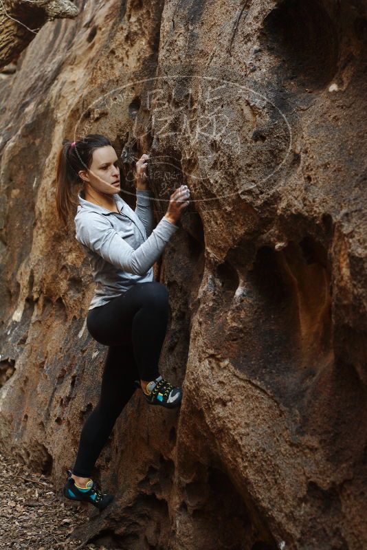 Bouldering in Hueco Tanks on 11/23/2018 with Blue Lizard Climbing and Yoga

Filename: SRM_20181123_1626480.jpg
Aperture: f/3.5
Shutter Speed: 1/100
Body: Canon EOS-1D Mark II
Lens: Canon EF 50mm f/1.8 II