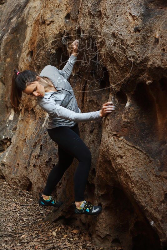 Bouldering in Hueco Tanks on 11/23/2018 with Blue Lizard Climbing and Yoga

Filename: SRM_20181123_1630130.jpg
Aperture: f/3.5
Shutter Speed: 1/100
Body: Canon EOS-1D Mark II
Lens: Canon EF 50mm f/1.8 II