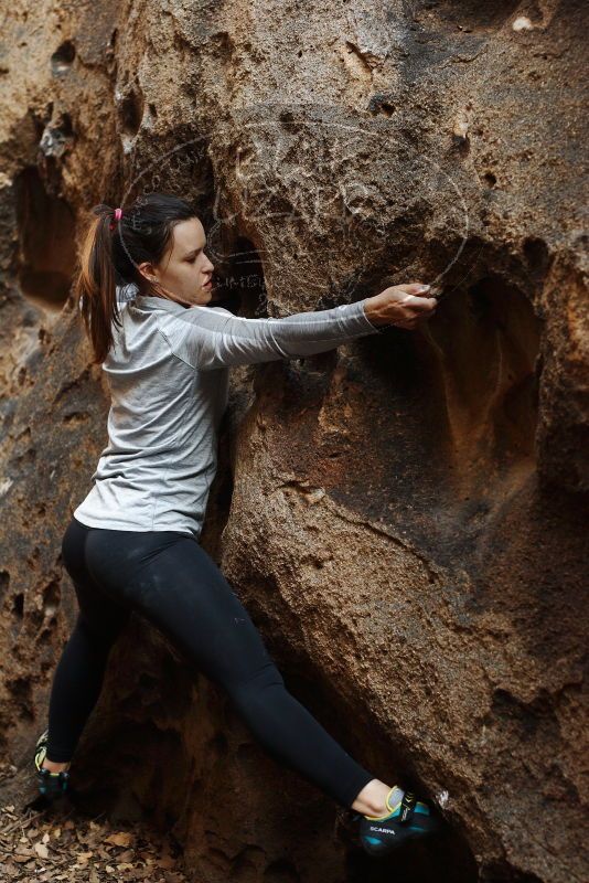 Bouldering in Hueco Tanks on 11/23/2018 with Blue Lizard Climbing and Yoga

Filename: SRM_20181123_1630380.jpg
Aperture: f/3.5
Shutter Speed: 1/100
Body: Canon EOS-1D Mark II
Lens: Canon EF 50mm f/1.8 II