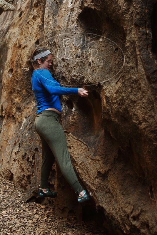 Bouldering in Hueco Tanks on 11/23/2018 with Blue Lizard Climbing and Yoga

Filename: SRM_20181123_1632150.jpg
Aperture: f/4.0
Shutter Speed: 1/100
Body: Canon EOS-1D Mark II
Lens: Canon EF 50mm f/1.8 II