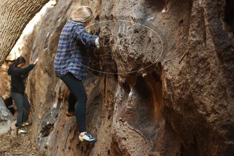 Bouldering in Hueco Tanks on 11/23/2018 with Blue Lizard Climbing and Yoga

Filename: SRM_20181123_1642390.jpg
Aperture: f/2.8
Shutter Speed: 1/125
Body: Canon EOS-1D Mark II
Lens: Canon EF 50mm f/1.8 II