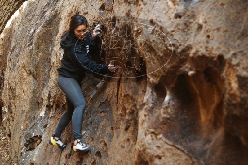 Bouldering in Hueco Tanks on 11/23/2018 with Blue Lizard Climbing and Yoga

Filename: SRM_20181123_1644020.jpg
Aperture: f/2.5
Shutter Speed: 1/125
Body: Canon EOS-1D Mark II
Lens: Canon EF 50mm f/1.8 II