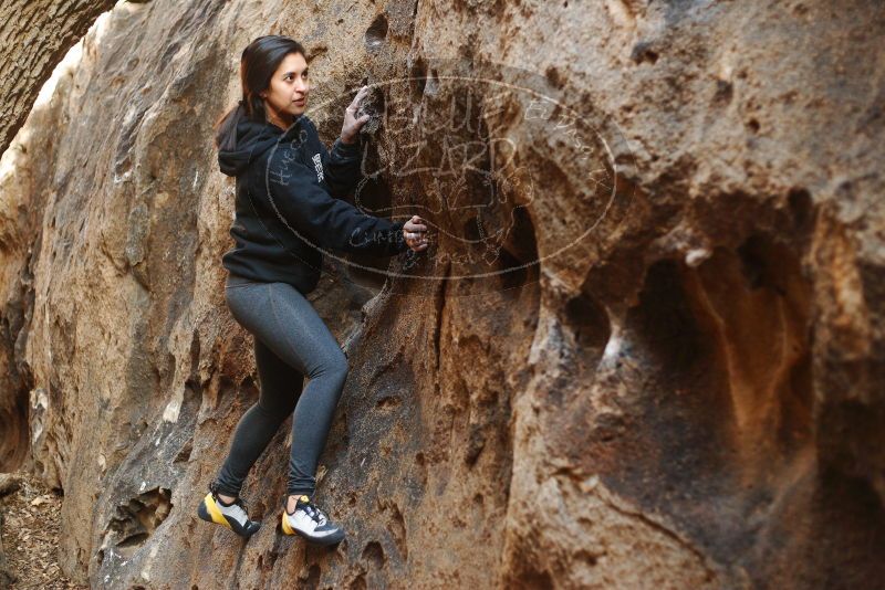 Bouldering in Hueco Tanks on 11/23/2018 with Blue Lizard Climbing and Yoga

Filename: SRM_20181123_1644040.jpg
Aperture: f/2.5
Shutter Speed: 1/125
Body: Canon EOS-1D Mark II
Lens: Canon EF 50mm f/1.8 II