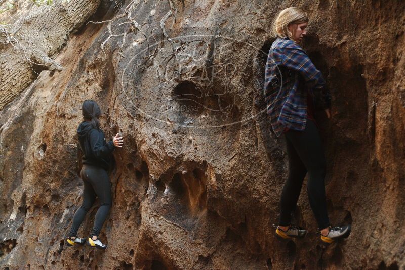 Bouldering in Hueco Tanks on 11/23/2018 with Blue Lizard Climbing and Yoga

Filename: SRM_20181123_1644310.jpg
Aperture: f/2.8
Shutter Speed: 1/100
Body: Canon EOS-1D Mark II
Lens: Canon EF 50mm f/1.8 II