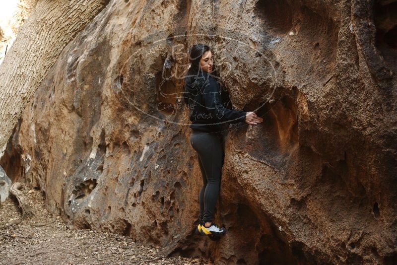 Bouldering in Hueco Tanks on 11/23/2018 with Blue Lizard Climbing and Yoga

Filename: SRM_20181123_1645130.jpg
Aperture: f/2.8
Shutter Speed: 1/100
Body: Canon EOS-1D Mark II
Lens: Canon EF 50mm f/1.8 II