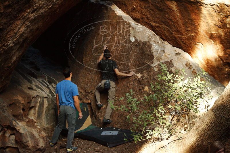 Bouldering in Hueco Tanks on 11/23/2018 with Blue Lizard Climbing and Yoga

Filename: SRM_20181123_1653140.jpg
Aperture: f/5.6
Shutter Speed: 1/160
Body: Canon EOS-1D Mark II
Lens: Canon EF 50mm f/1.8 II