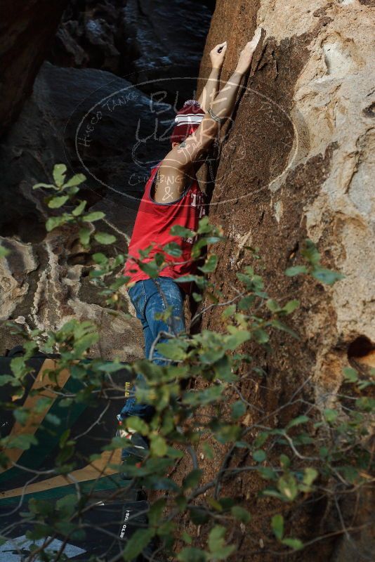 Bouldering in Hueco Tanks on 11/23/2018 with Blue Lizard Climbing and Yoga

Filename: SRM_20181123_1657380.jpg
Aperture: f/4.5
Shutter Speed: 1/160
Body: Canon EOS-1D Mark II
Lens: Canon EF 50mm f/1.8 II