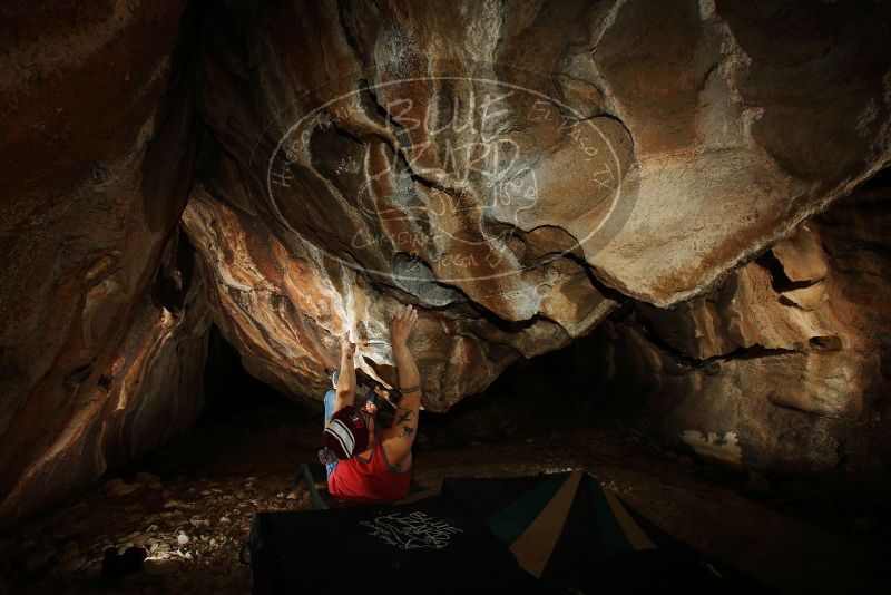 Bouldering in Hueco Tanks on 11/23/2018 with Blue Lizard Climbing and Yoga

Filename: SRM_20181123_1720030.jpg
Aperture: f/8.0
Shutter Speed: 1/250
Body: Canon EOS-1D Mark II
Lens: Canon EF 16-35mm f/2.8 L