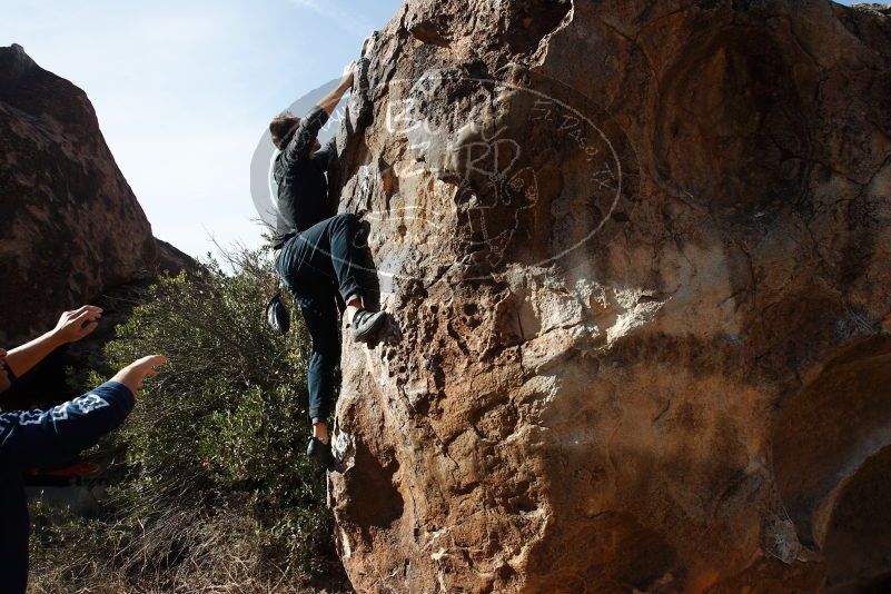 Bouldering in Hueco Tanks on 11/22/2018 with Blue Lizard Climbing and Yoga

Filename: SRM_20181122_1028350.jpg
Aperture: f/5.6
Shutter Speed: 1/2000
Body: Canon EOS-1D Mark II
Lens: Canon EF 16-35mm f/2.8 L