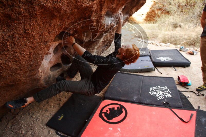 Bouldering in Hueco Tanks on 11/22/2018 with Blue Lizard Climbing and Yoga

Filename: SRM_20181122_1041100.jpg
Aperture: f/5.0
Shutter Speed: 1/250
Body: Canon EOS-1D Mark II
Lens: Canon EF 16-35mm f/2.8 L