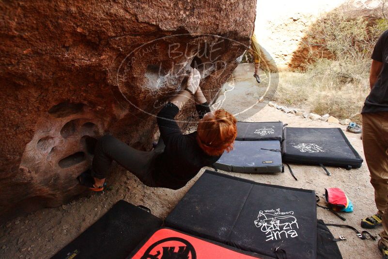 Bouldering in Hueco Tanks on 11/22/2018 with Blue Lizard Climbing and Yoga

Filename: SRM_20181122_1041170.jpg
Aperture: f/5.0
Shutter Speed: 1/400
Body: Canon EOS-1D Mark II
Lens: Canon EF 16-35mm f/2.8 L