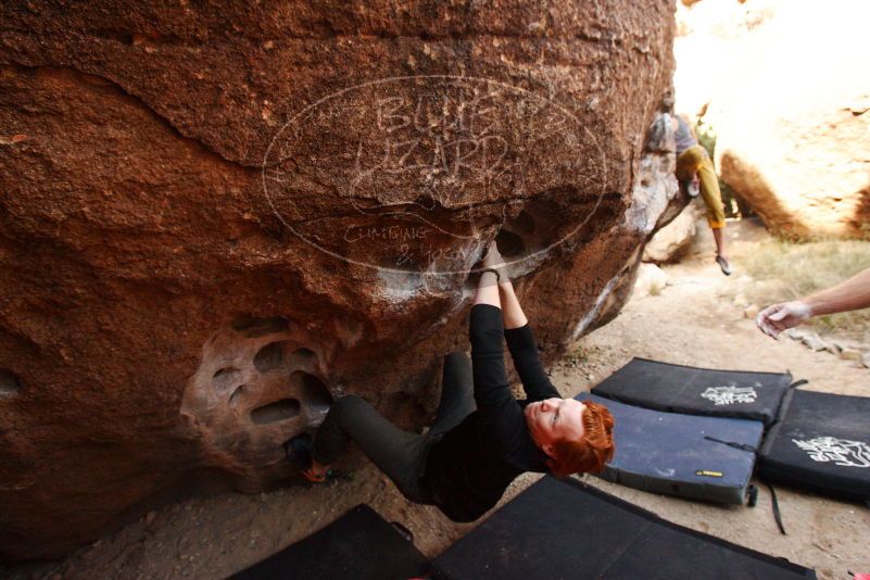 Bouldering in Hueco Tanks on 11/22/2018 with Blue Lizard Climbing and Yoga

Filename: SRM_20181122_1041200.jpg
Aperture: f/5.0
Shutter Speed: 1/400
Body: Canon EOS-1D Mark II
Lens: Canon EF 16-35mm f/2.8 L