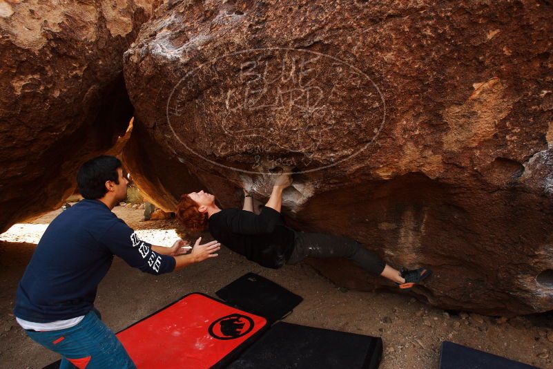 Bouldering in Hueco Tanks on 11/22/2018 with Blue Lizard Climbing and Yoga

Filename: SRM_20181122_1052360.jpg
Aperture: f/5.0
Shutter Speed: 1/400
Body: Canon EOS-1D Mark II
Lens: Canon EF 16-35mm f/2.8 L