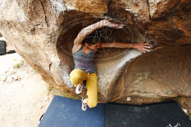 Bouldering in Hueco Tanks on 11/22/2018 with Blue Lizard Climbing and Yoga

Filename: SRM_20181122_1134130.jpg
Aperture: f/5.6
Shutter Speed: 1/500
Body: Canon EOS-1D Mark II
Lens: Canon EF 16-35mm f/2.8 L