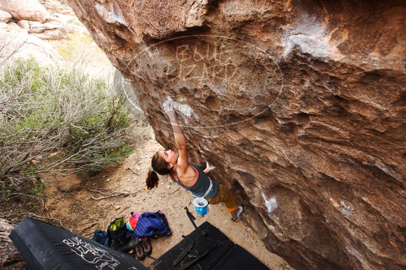 Bouldering in Hueco Tanks on 11/22/2018 with Blue Lizard Climbing and Yoga

Filename: SRM_20181122_1246030.jpg
Aperture: f/5.6
Shutter Speed: 1/320
Body: Canon EOS-1D Mark II
Lens: Canon EF 16-35mm f/2.8 L