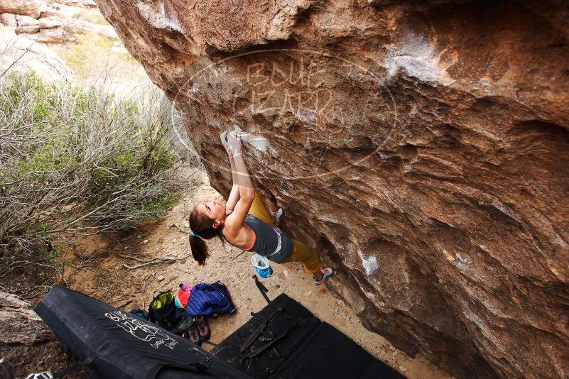 Bouldering in Hueco Tanks on 11/22/2018 with Blue Lizard Climbing and Yoga

Filename: SRM_20181122_1246060.jpg
Aperture: f/5.6
Shutter Speed: 1/320
Body: Canon EOS-1D Mark II
Lens: Canon EF 16-35mm f/2.8 L