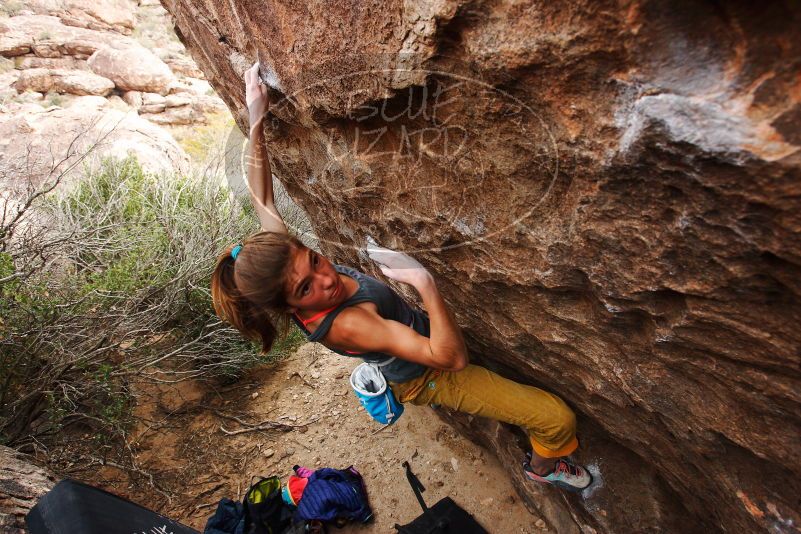 Bouldering in Hueco Tanks on 11/22/2018 with Blue Lizard Climbing and Yoga

Filename: SRM_20181122_1246111.jpg
Aperture: f/5.6
Shutter Speed: 1/500
Body: Canon EOS-1D Mark II
Lens: Canon EF 16-35mm f/2.8 L