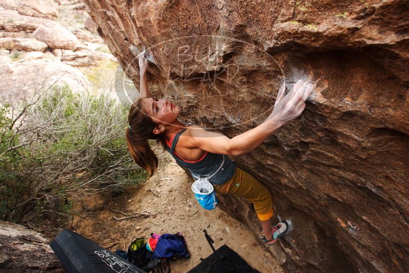 Bouldering in Hueco Tanks on 11/22/2018 with Blue Lizard Climbing and Yoga

Filename: SRM_20181122_1246140.jpg
Aperture: f/5.6
Shutter Speed: 1/400
Body: Canon EOS-1D Mark II
Lens: Canon EF 16-35mm f/2.8 L