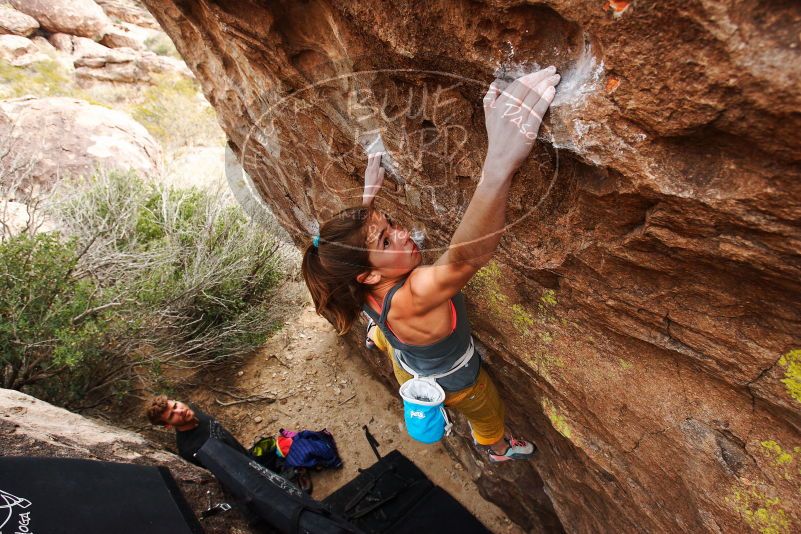 Bouldering in Hueco Tanks on 11/22/2018 with Blue Lizard Climbing and Yoga

Filename: SRM_20181122_1246231.jpg
Aperture: f/5.6
Shutter Speed: 1/500
Body: Canon EOS-1D Mark II
Lens: Canon EF 16-35mm f/2.8 L