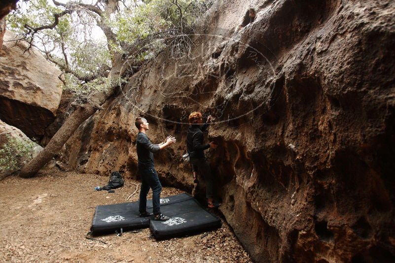 Bouldering in Hueco Tanks on 11/22/2018 with Blue Lizard Climbing and Yoga

Filename: SRM_20181122_1513120.jpg
Aperture: f/4.0
Shutter Speed: 1/200
Body: Canon EOS-1D Mark II
Lens: Canon EF 16-35mm f/2.8 L