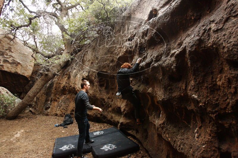 Bouldering in Hueco Tanks on 11/22/2018 with Blue Lizard Climbing and Yoga

Filename: SRM_20181122_1513200.jpg
Aperture: f/4.0
Shutter Speed: 1/250
Body: Canon EOS-1D Mark II
Lens: Canon EF 16-35mm f/2.8 L