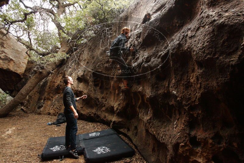 Bouldering in Hueco Tanks on 11/22/2018 with Blue Lizard Climbing and Yoga

Filename: SRM_20181122_1513410.jpg
Aperture: f/4.0
Shutter Speed: 1/250
Body: Canon EOS-1D Mark II
Lens: Canon EF 16-35mm f/2.8 L