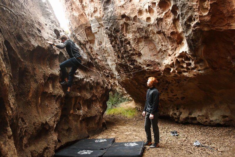 Bouldering in Hueco Tanks on 11/22/2018 with Blue Lizard Climbing and Yoga

Filename: SRM_20181122_1519410.jpg
Aperture: f/4.0
Shutter Speed: 1/125
Body: Canon EOS-1D Mark II
Lens: Canon EF 16-35mm f/2.8 L