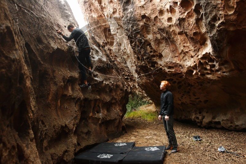 Bouldering in Hueco Tanks on 11/22/2018 with Blue Lizard Climbing and Yoga

Filename: SRM_20181122_1519530.jpg
Aperture: f/4.0
Shutter Speed: 1/200
Body: Canon EOS-1D Mark II
Lens: Canon EF 16-35mm f/2.8 L