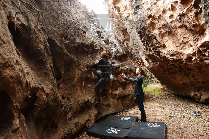 Bouldering in Hueco Tanks on 11/22/2018 with Blue Lizard Climbing and Yoga

Filename: SRM_20181122_1527360.jpg
Aperture: f/4.0
Shutter Speed: 1/100
Body: Canon EOS-1D Mark II
Lens: Canon EF 16-35mm f/2.8 L