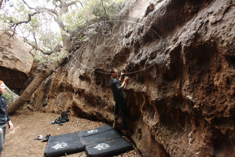 Bouldering in Hueco Tanks on 11/22/2018 with Blue Lizard Climbing and Yoga

Filename: SRM_20181122_1534530.jpg
Aperture: f/2.8
Shutter Speed: 1/160
Body: Canon EOS-1D Mark II
Lens: Canon EF 16-35mm f/2.8 L