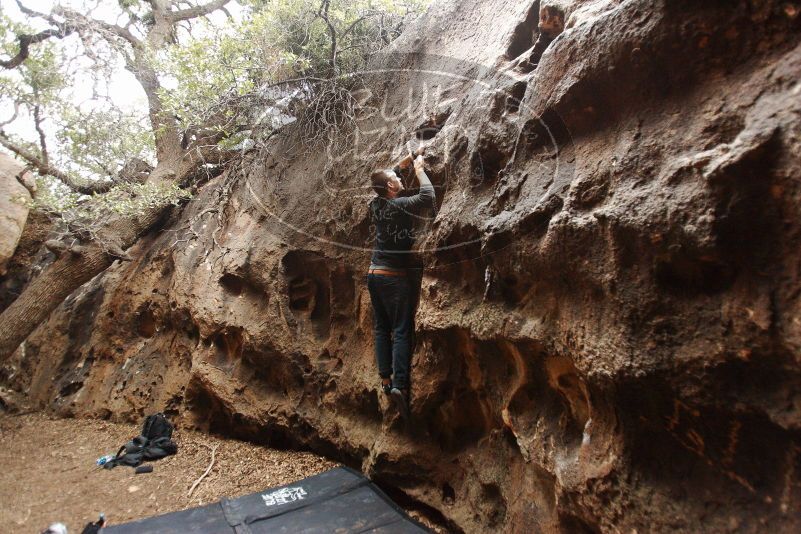 Bouldering in Hueco Tanks on 11/22/2018 with Blue Lizard Climbing and Yoga

Filename: SRM_20181122_1535220.jpg
Aperture: f/2.8
Shutter Speed: 1/160
Body: Canon EOS-1D Mark II
Lens: Canon EF 16-35mm f/2.8 L