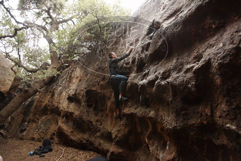 Bouldering in Hueco Tanks on 11/22/2018 with Blue Lizard Climbing and Yoga

Filename: SRM_20181122_1535450.jpg
Aperture: f/2.8
Shutter Speed: 1/250
Body: Canon EOS-1D Mark II
Lens: Canon EF 16-35mm f/2.8 L