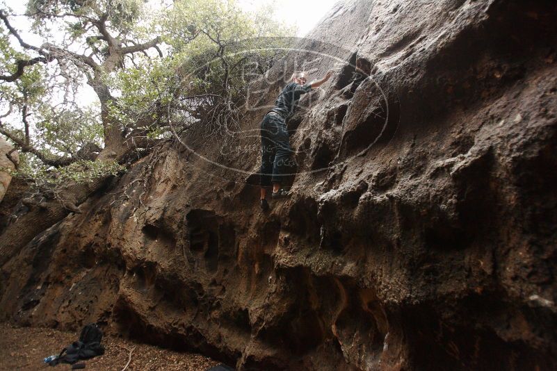 Bouldering in Hueco Tanks on 11/22/2018 with Blue Lizard Climbing and Yoga

Filename: SRM_20181122_1536070.jpg
Aperture: f/2.8
Shutter Speed: 1/250
Body: Canon EOS-1D Mark II
Lens: Canon EF 16-35mm f/2.8 L