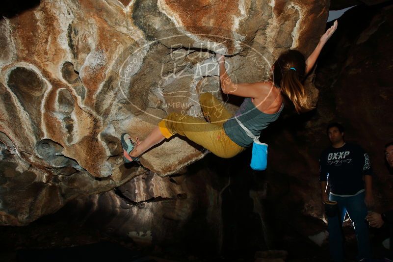 Bouldering in Hueco Tanks on 11/22/2018 with Blue Lizard Climbing and Yoga

Filename: SRM_20181122_1623550.jpg
Aperture: f/8.0
Shutter Speed: 1/250
Body: Canon EOS-1D Mark II
Lens: Canon EF 16-35mm f/2.8 L