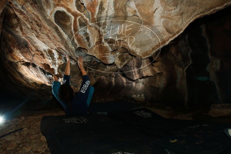 Bouldering in Hueco Tanks on 11/22/2018 with Blue Lizard Climbing and Yoga

Filename: SRM_20181122_1626300.jpg
Aperture: f/8.0
Shutter Speed: 1/250
Body: Canon EOS-1D Mark II
Lens: Canon EF 16-35mm f/2.8 L