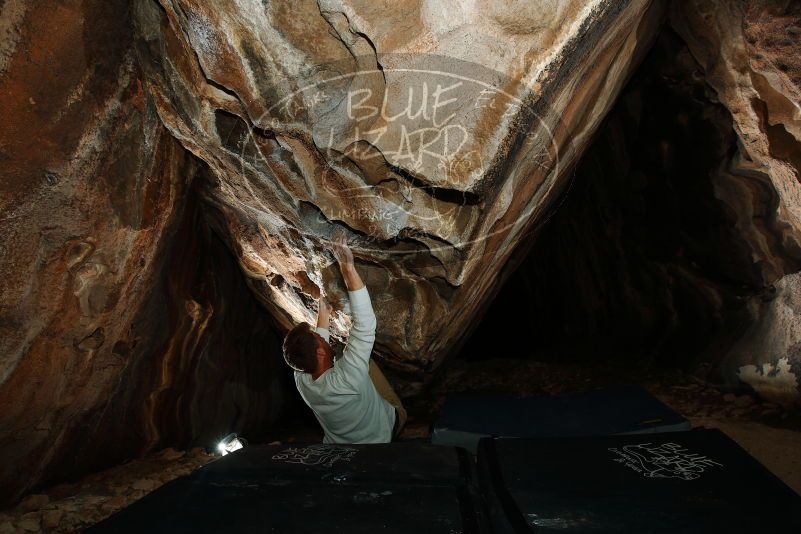 Bouldering in Hueco Tanks on 11/22/2018 with Blue Lizard Climbing and Yoga

Filename: SRM_20181122_1638250.jpg
Aperture: f/8.0
Shutter Speed: 1/250
Body: Canon EOS-1D Mark II
Lens: Canon EF 16-35mm f/2.8 L