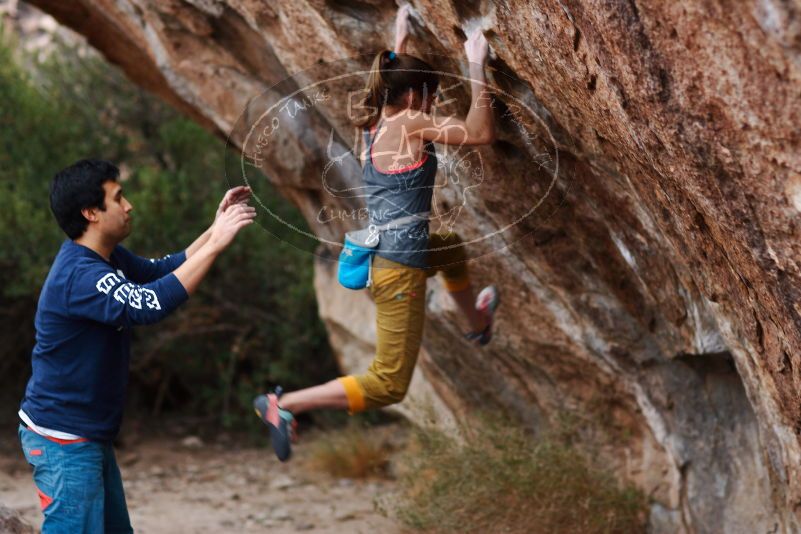 Bouldering in Hueco Tanks on 11/22/2018 with Blue Lizard Climbing and Yoga

Filename: SRM_20181122_1730000.jpg
Aperture: f/2.0
Shutter Speed: 1/125
Body: Canon EOS-1D Mark II
Lens: Canon EF 85mm f/1.2 L II