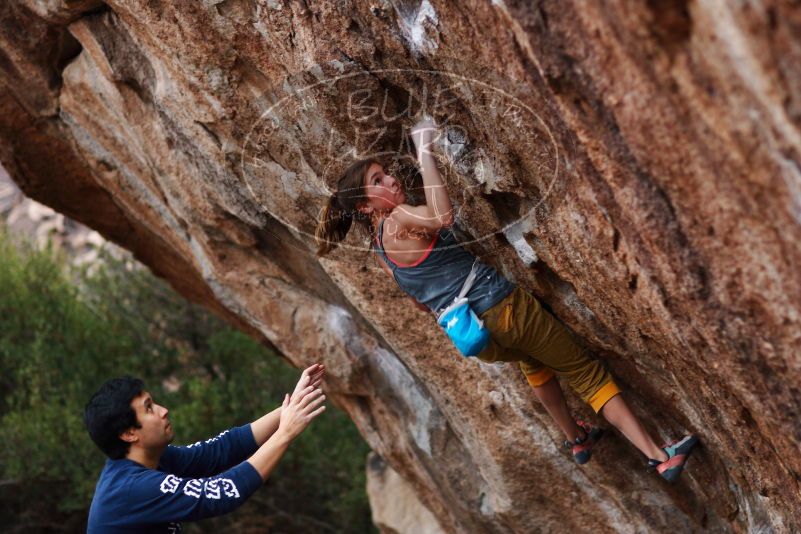 Bouldering in Hueco Tanks on 11/22/2018 with Blue Lizard Climbing and Yoga

Filename: SRM_20181122_1730080.jpg
Aperture: f/2.0
Shutter Speed: 1/125
Body: Canon EOS-1D Mark II
Lens: Canon EF 85mm f/1.2 L II