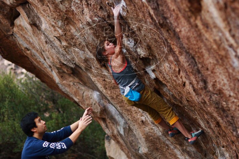 Bouldering in Hueco Tanks on 11/22/2018 with Blue Lizard Climbing and Yoga

Filename: SRM_20181122_1730081.jpg
Aperture: f/2.0
Shutter Speed: 1/125
Body: Canon EOS-1D Mark II
Lens: Canon EF 85mm f/1.2 L II