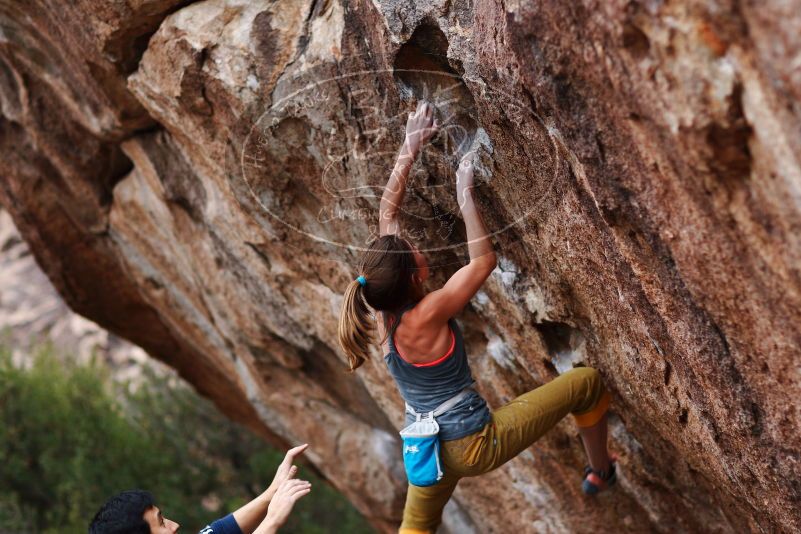 Bouldering in Hueco Tanks on 11/22/2018 with Blue Lizard Climbing and Yoga

Filename: SRM_20181122_1730150.jpg
Aperture: f/2.0
Shutter Speed: 1/125
Body: Canon EOS-1D Mark II
Lens: Canon EF 85mm f/1.2 L II